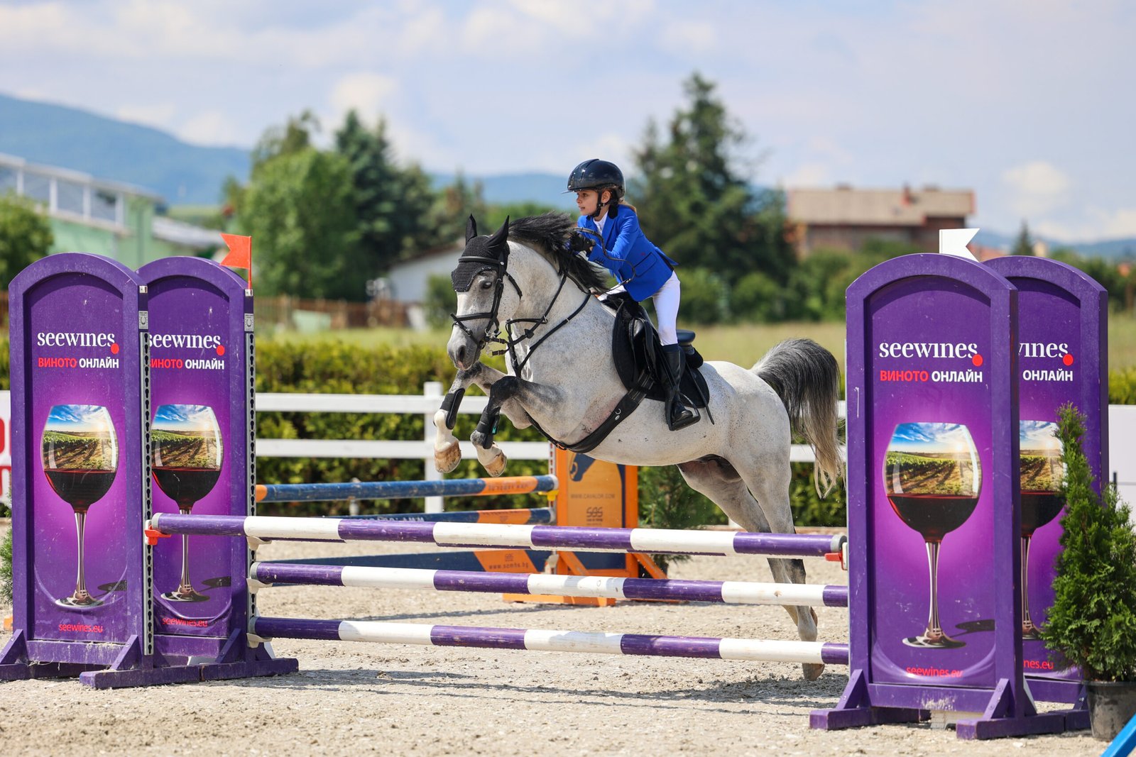 20230610_082943650_iOS